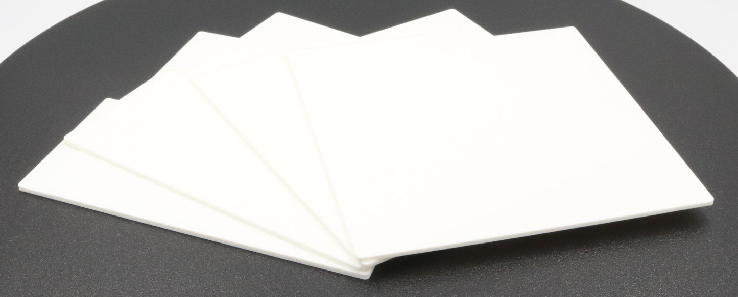 Rugged Protective Carrying Case & 4 Dividers for 5.25 (5 1/4) Floppy Disks